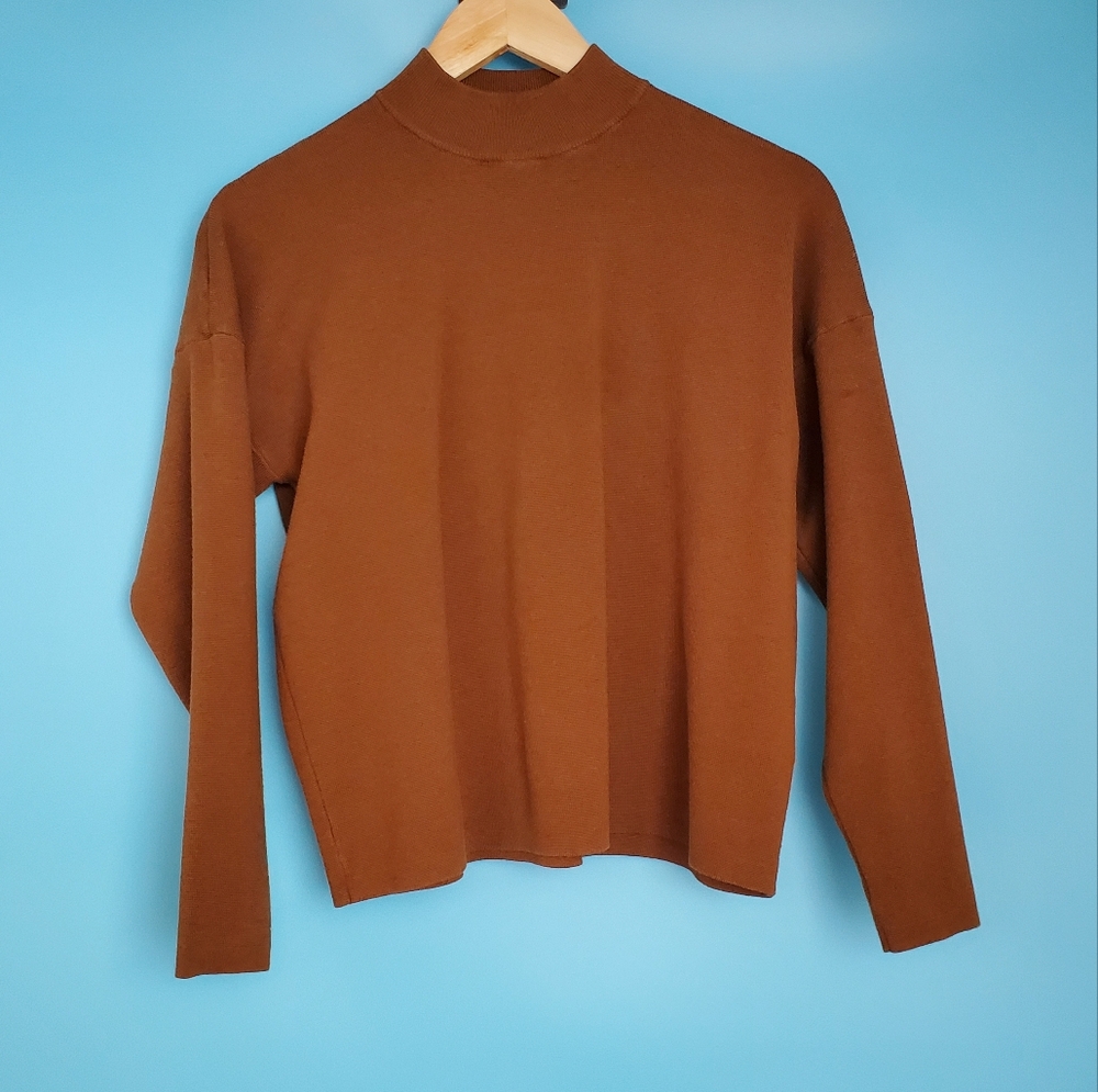 H&M Sweater Size Small Brown High Neck